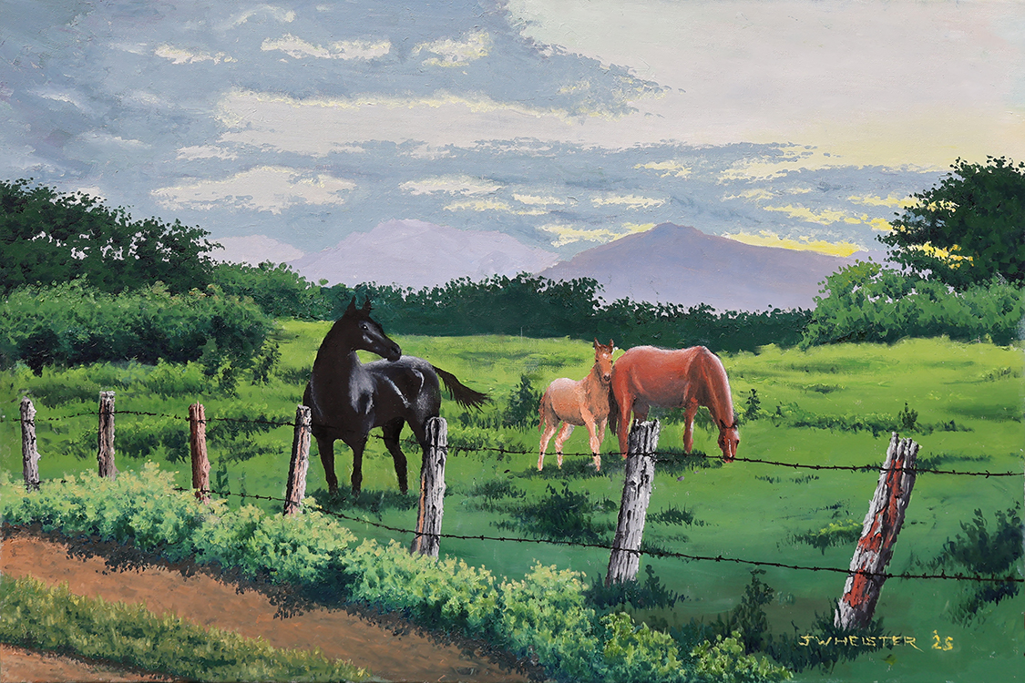 Equine Equinimity