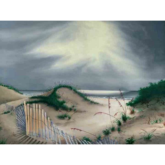 Beachfence in the Moonlight