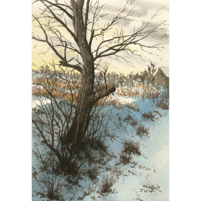 Frosty Tree