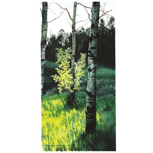 Green Birches
