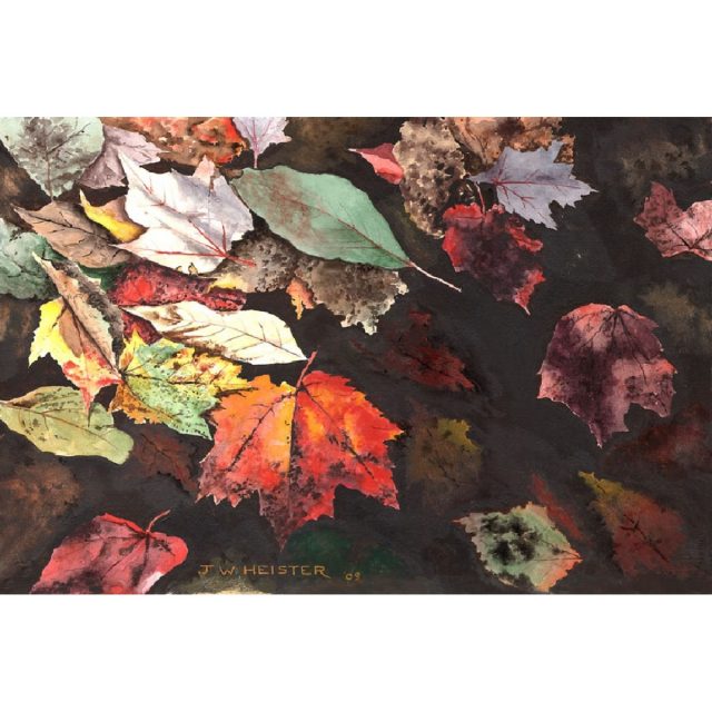 Variegated Leaves