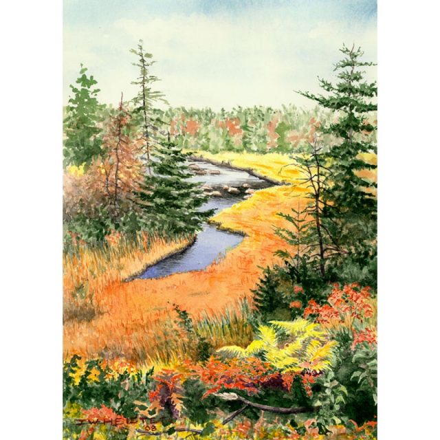Wilderness