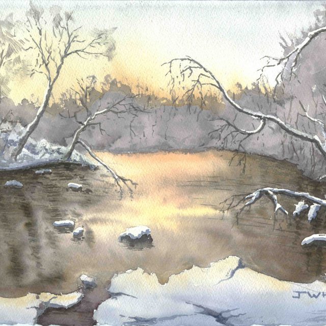 Winter on the Pond