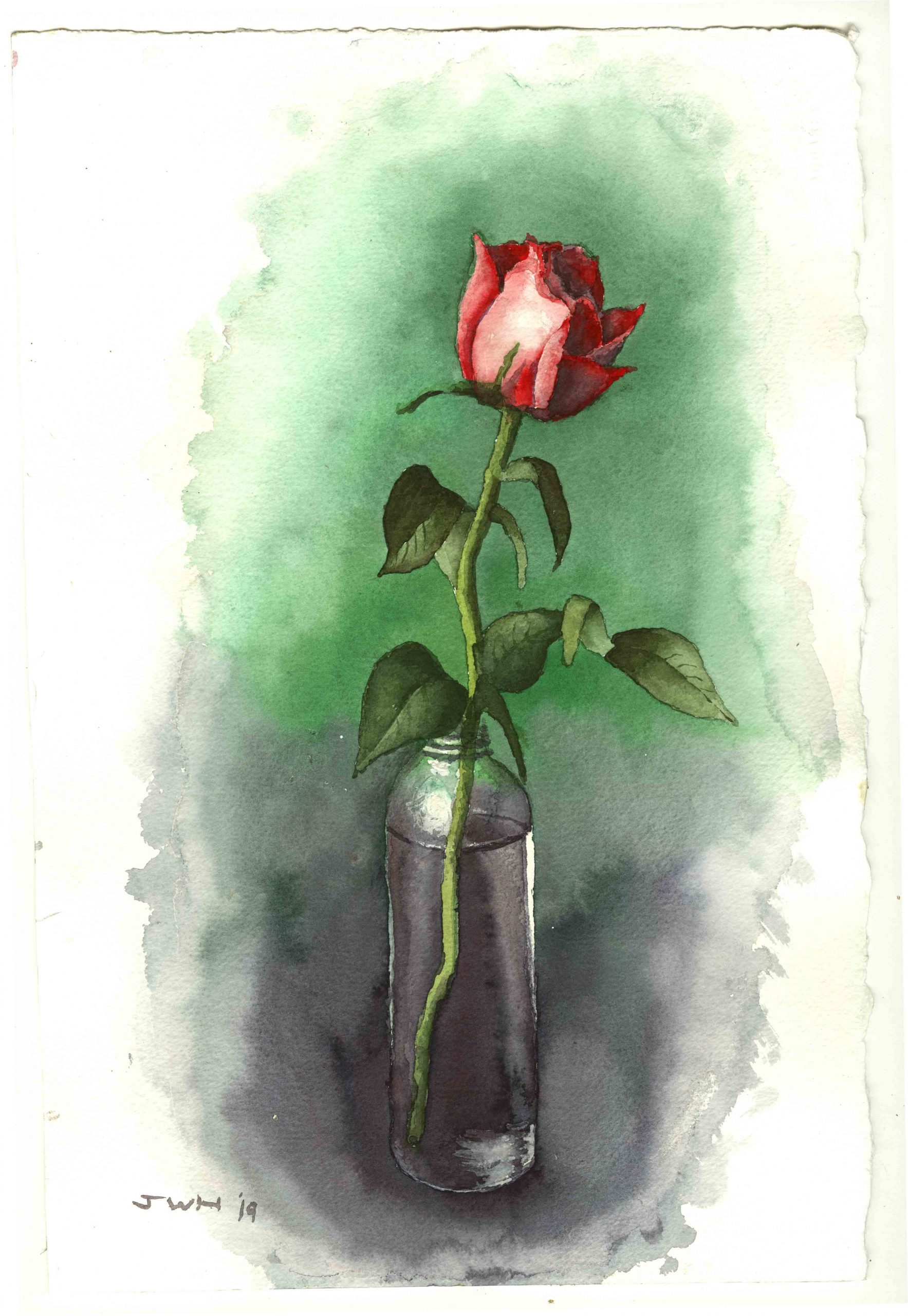Rose in Glass
