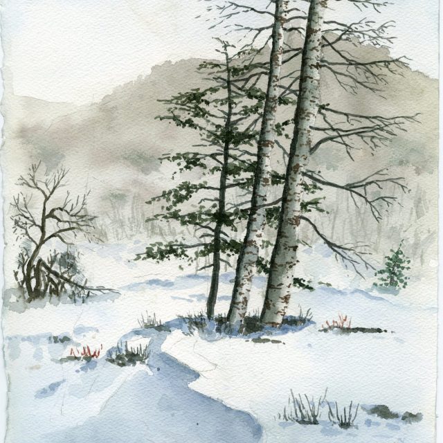 Birches