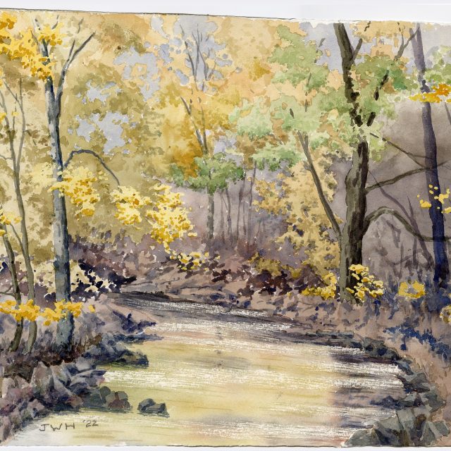 Streaming Through Fall Color