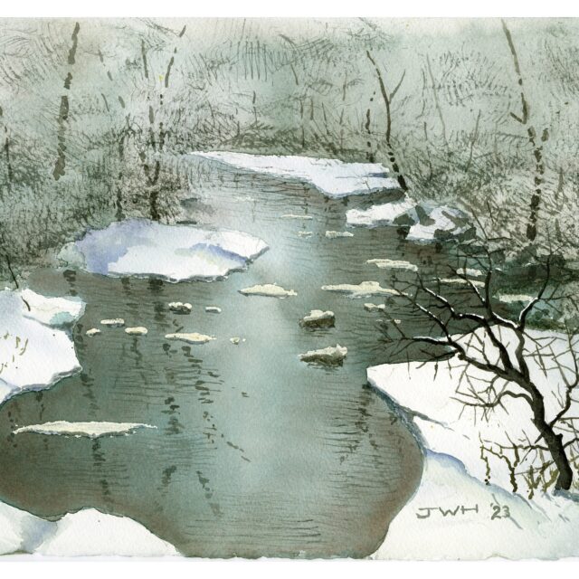 Pristine Stream