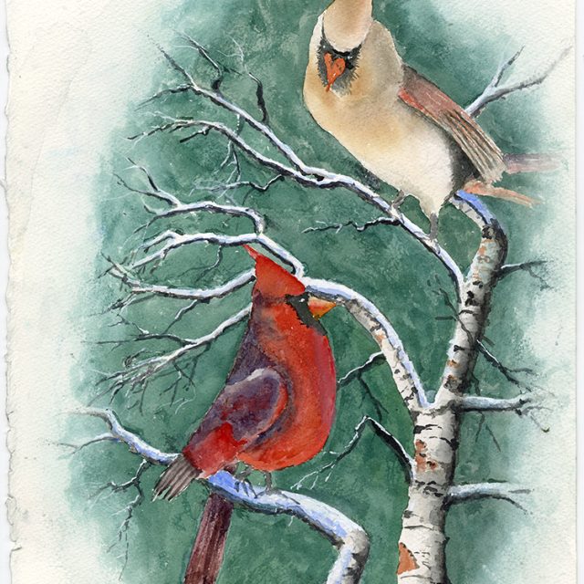 Cardinal Couple